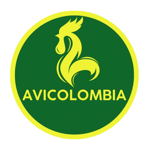 Compra tus gallinas a los mejores precios del mercado - avicolombia